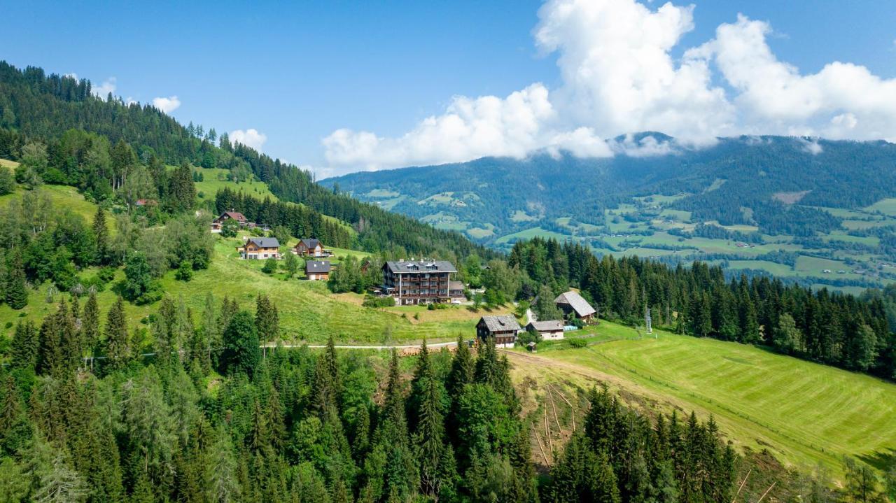 Апартаменты Bergblick Ruhe Und Aussicht Auf 1100M Санкт-Лоренцен-об-Мурау Экстерьер фото